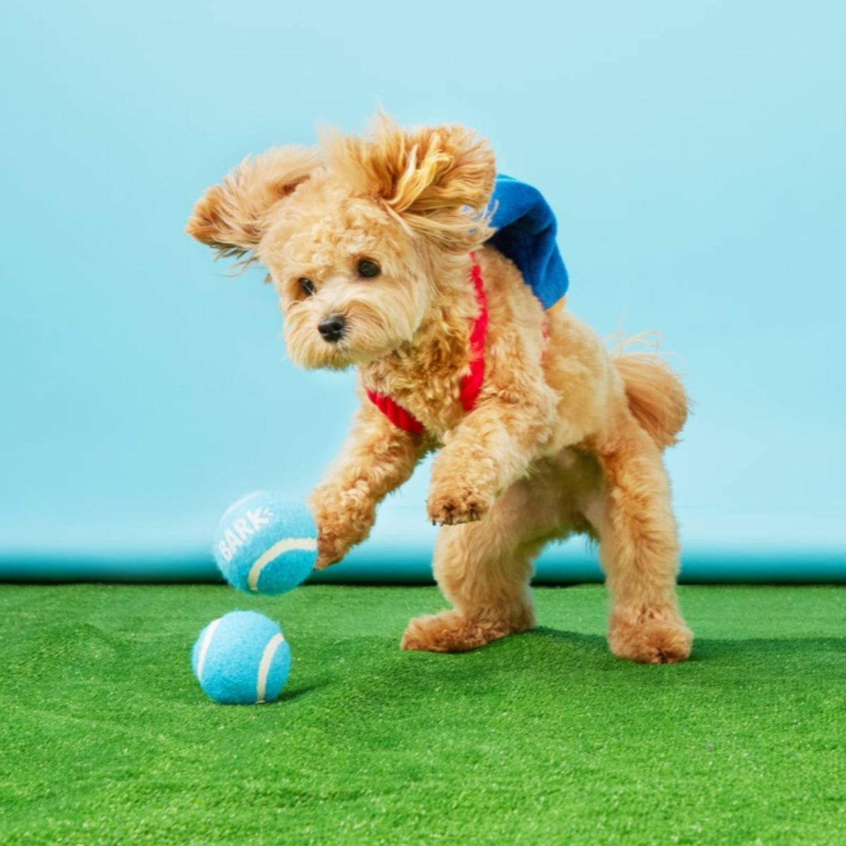 Janspup Plush Multi-Part + Tug + Fetch Dog Toy
