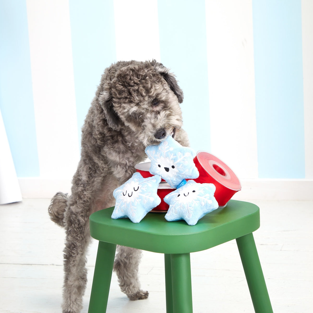 Crystal, Krystle & Cristal