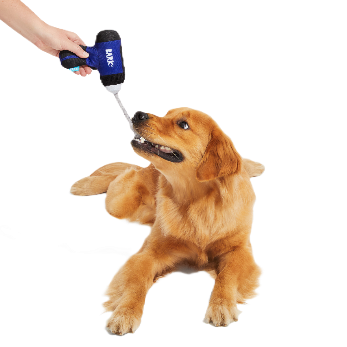 Tuggin’ Impact Drooler Plush Tug Dog Toy