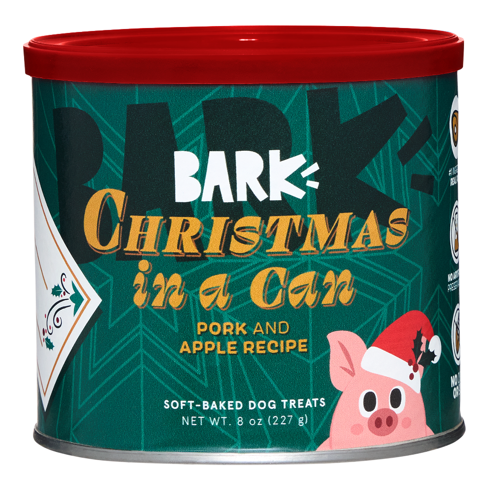 chrismas in a can dog treats