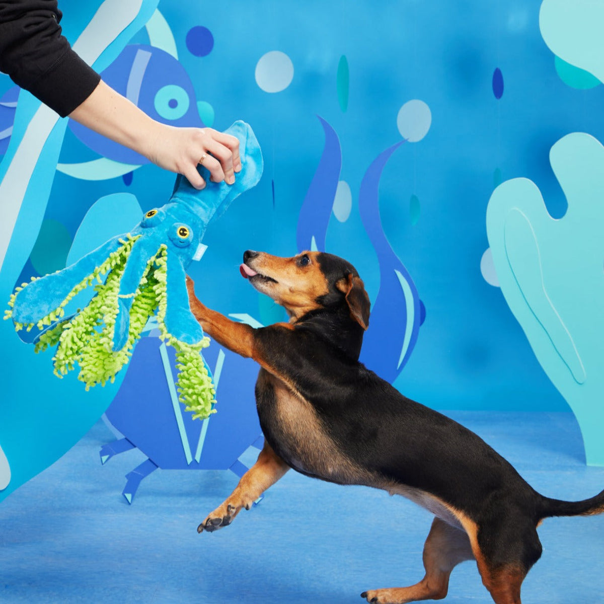 Shifty Sid the Squid Plush Extra-Large + Tug Dog Toy – BARK