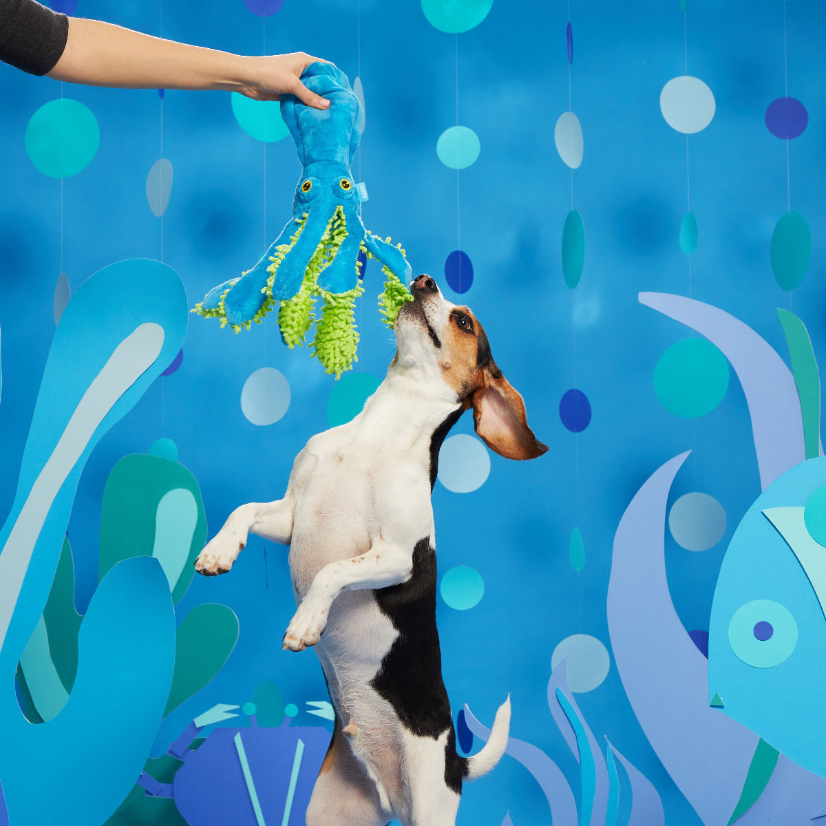 Shifty Sid the Squid Plush Extra-Large + Tug Dog Toy