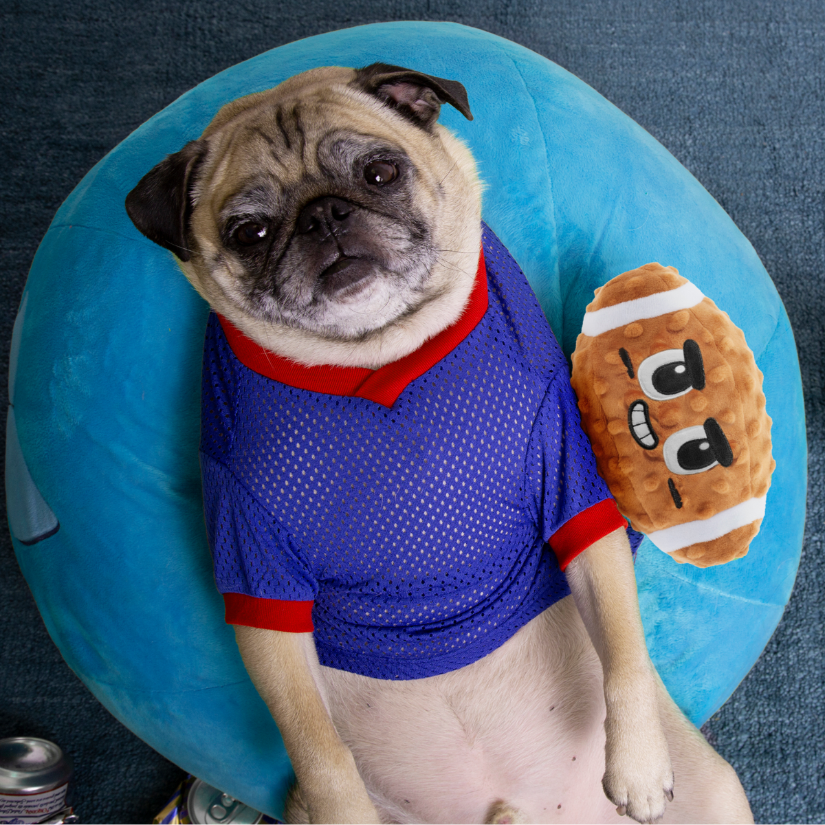 Tailgate Bundle Plush Multi-Part Dog Toy