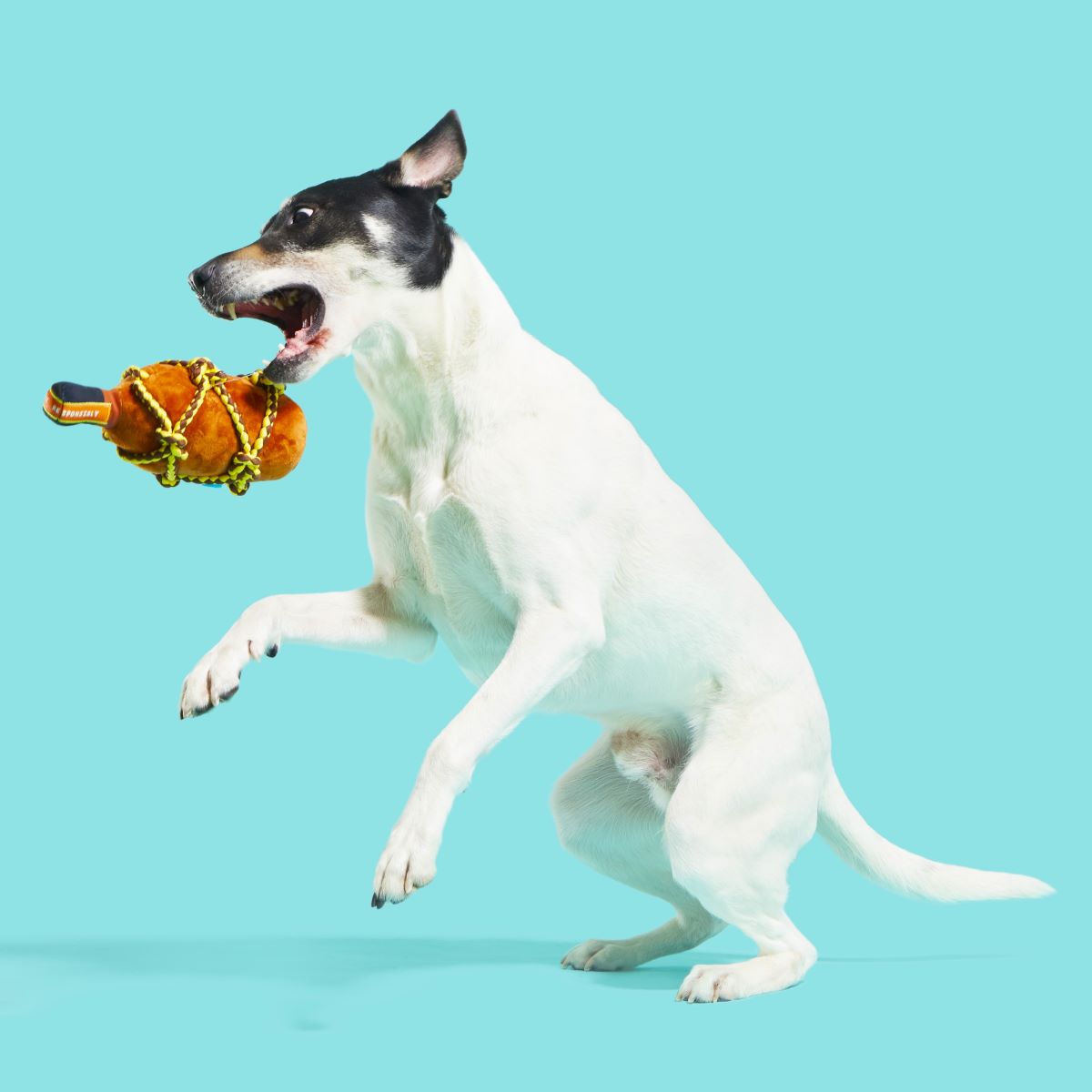 Barkbeard's Rum