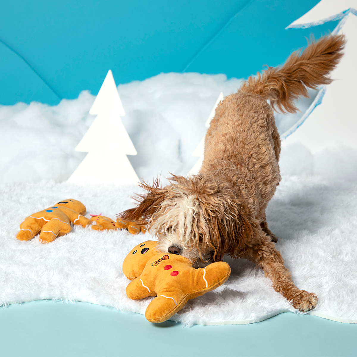 Happy Howlidays! From The Crumbles Gift Set