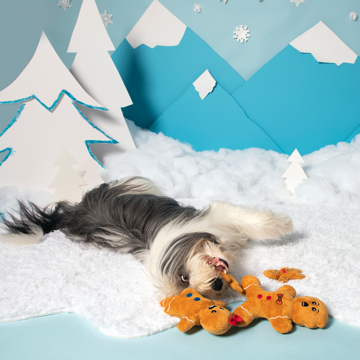 Happy Howlidays! From The Crumbles Gift Set