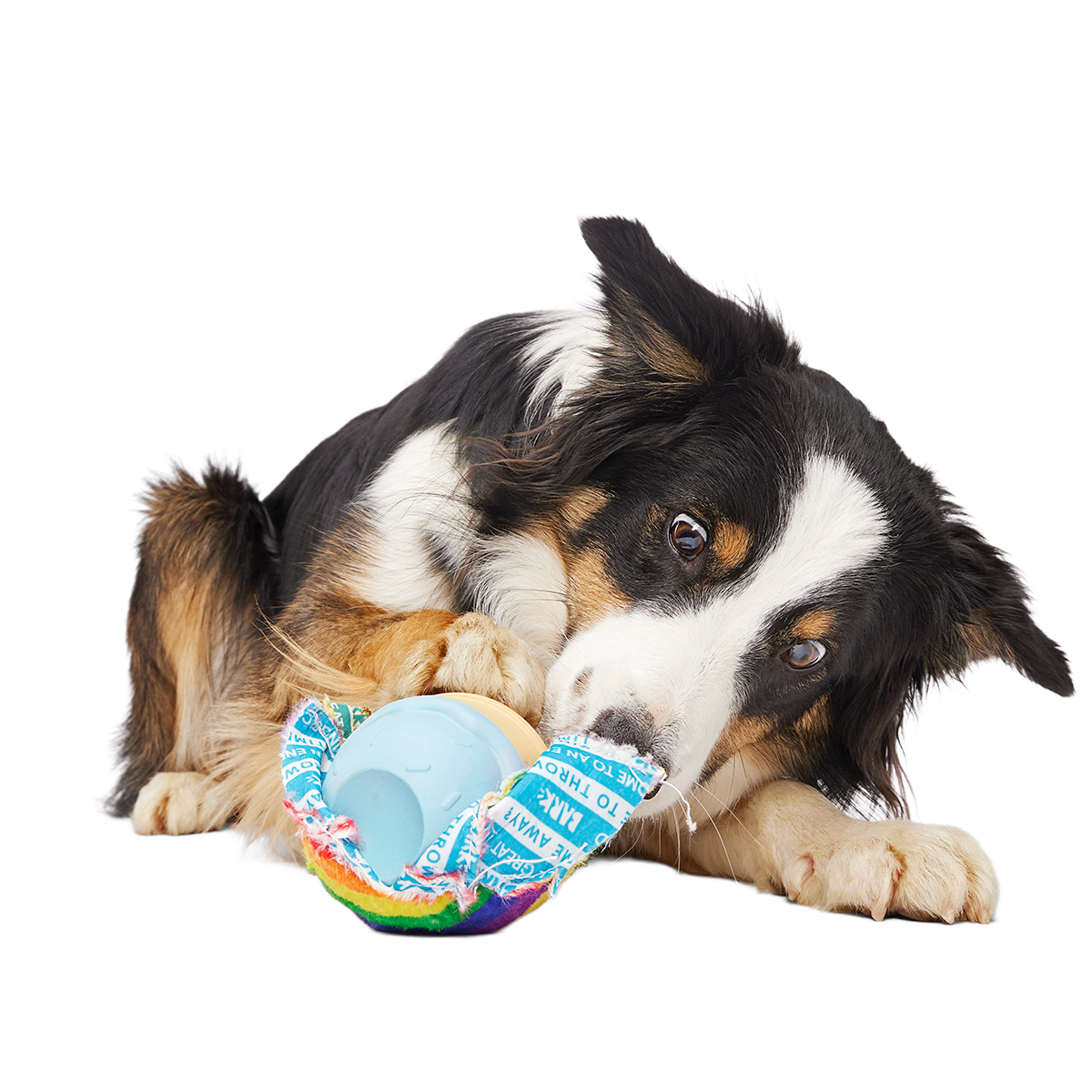 Rainbow-wow Sherbert Super Chewer Durable 2-in-1 Dog Toy