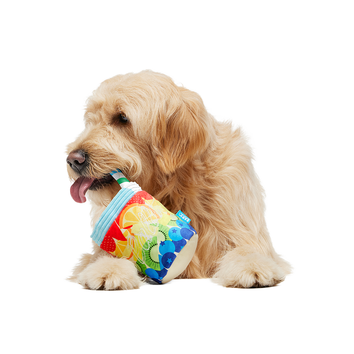 Cocktail Club, Plush Cocktail Monthly Dog Toys