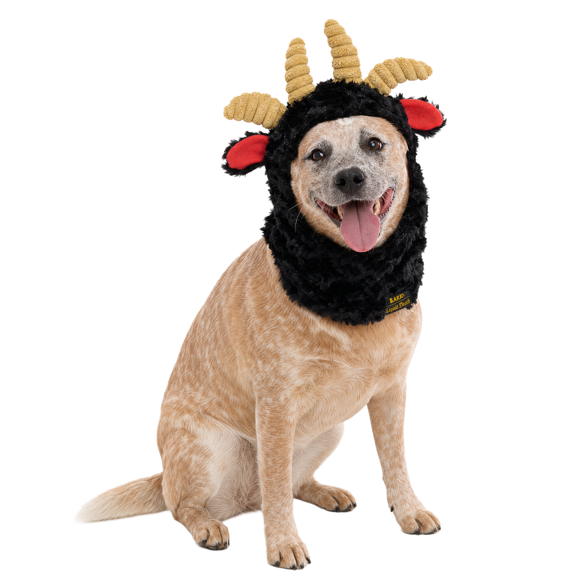 Ram Chop Snood Dog Hood