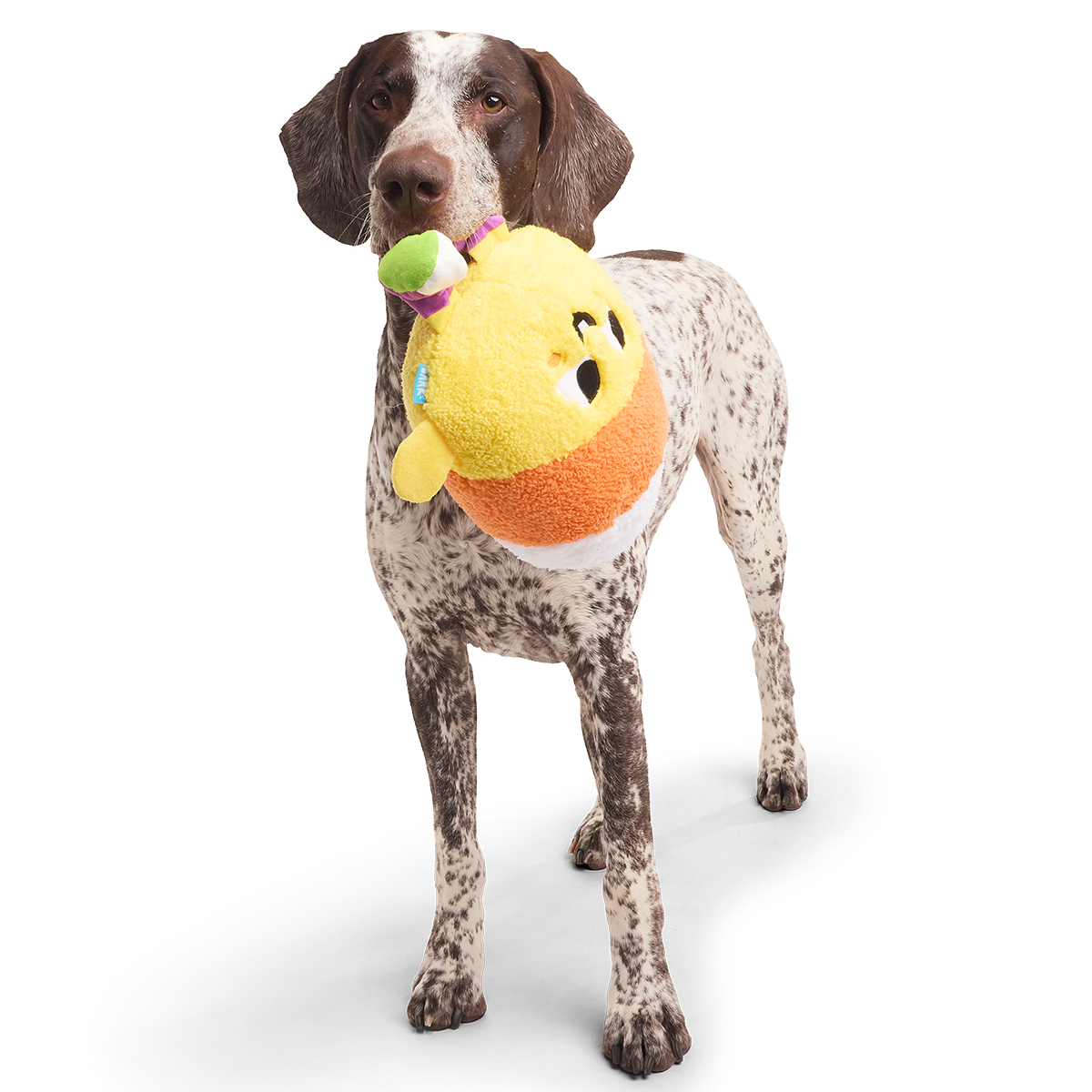 Randy Corn Plush Extra-Large + Tug Dog Toy
