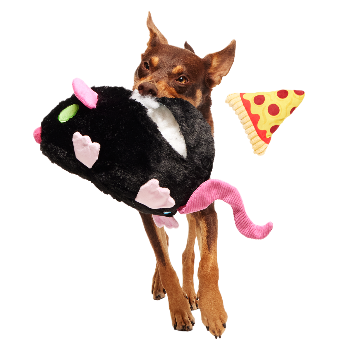Rat-A-Chewy Plush Extra-Large 2-in-1 + Tug Dog Toy