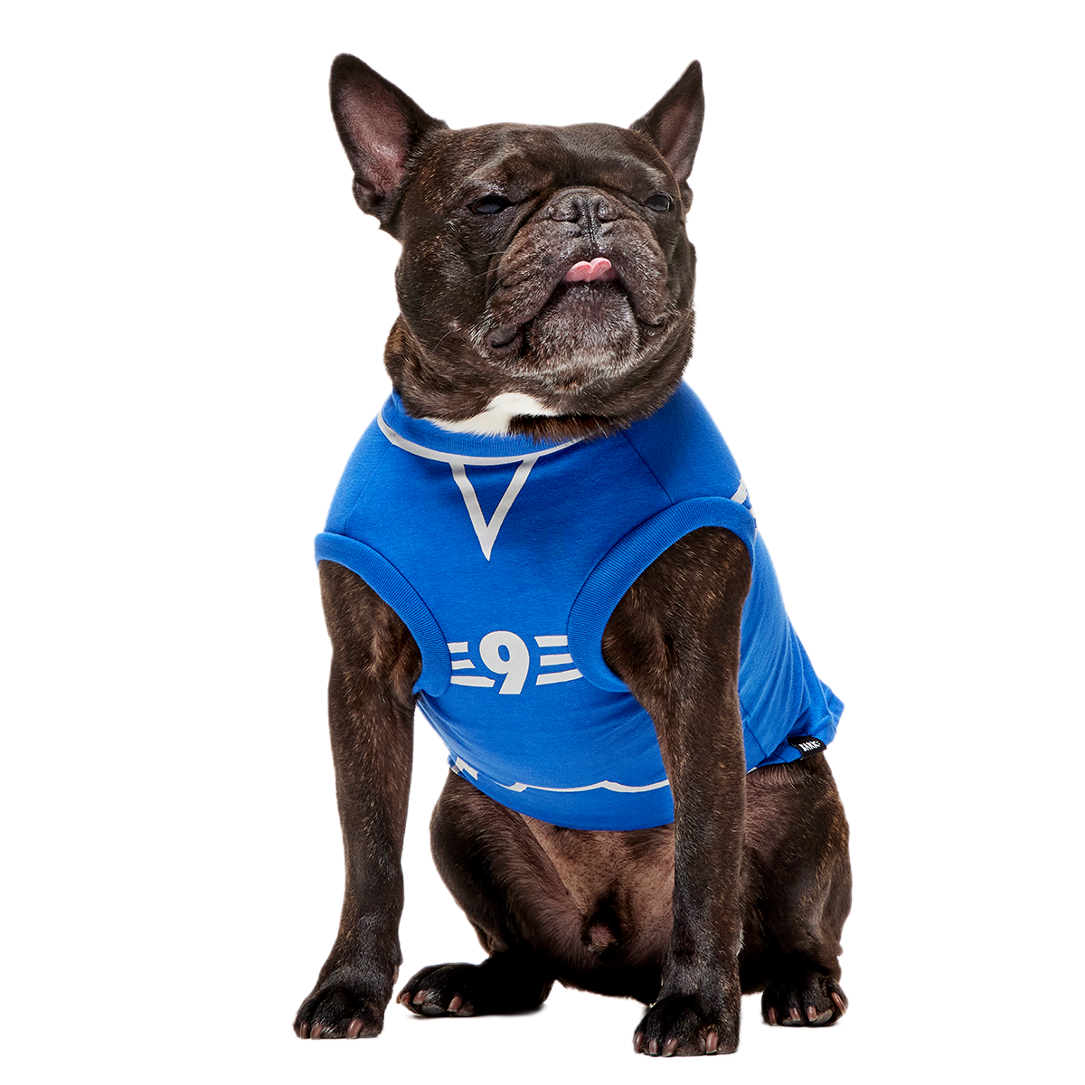 Quidditch™ Jersey#Style_Ravenclaw™
