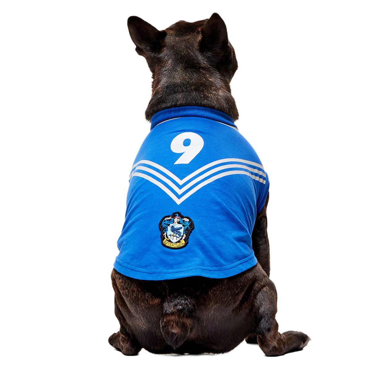 Quidditch™ Jersey#Style_Ravenclaw™
