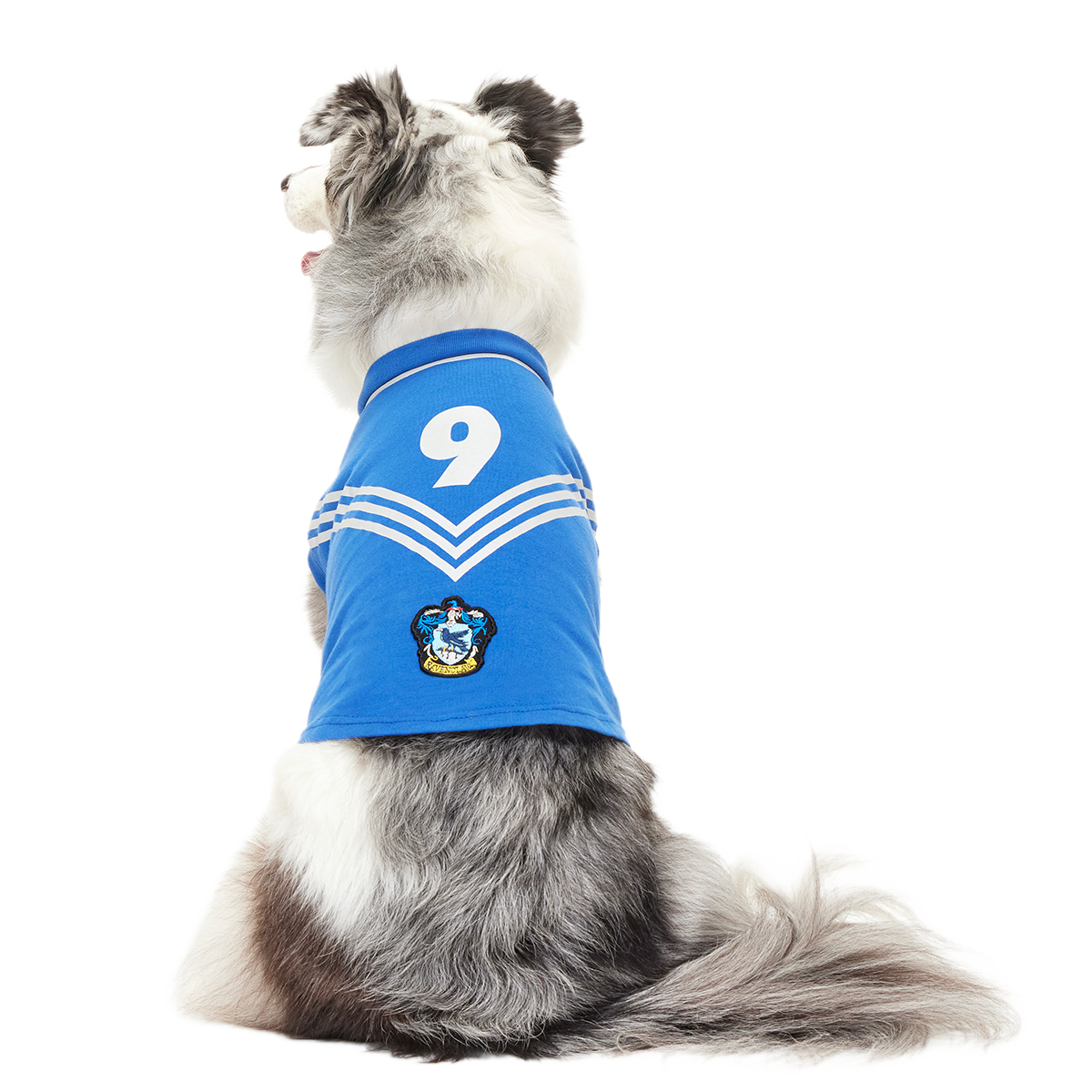 Quidditch™ Jersey#Style_Ravenclaw™