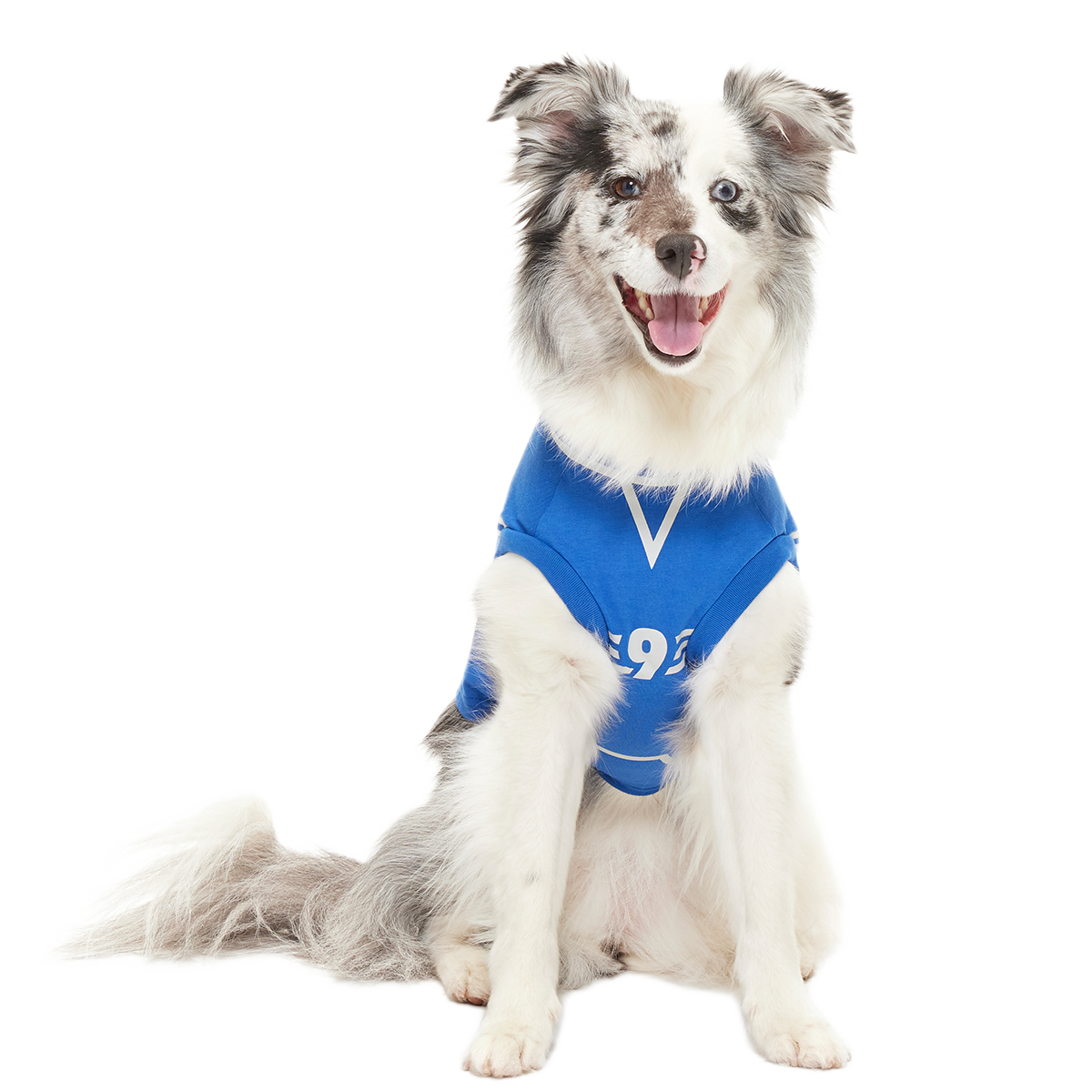 Quidditch™ Jersey#Style_Ravenclaw™