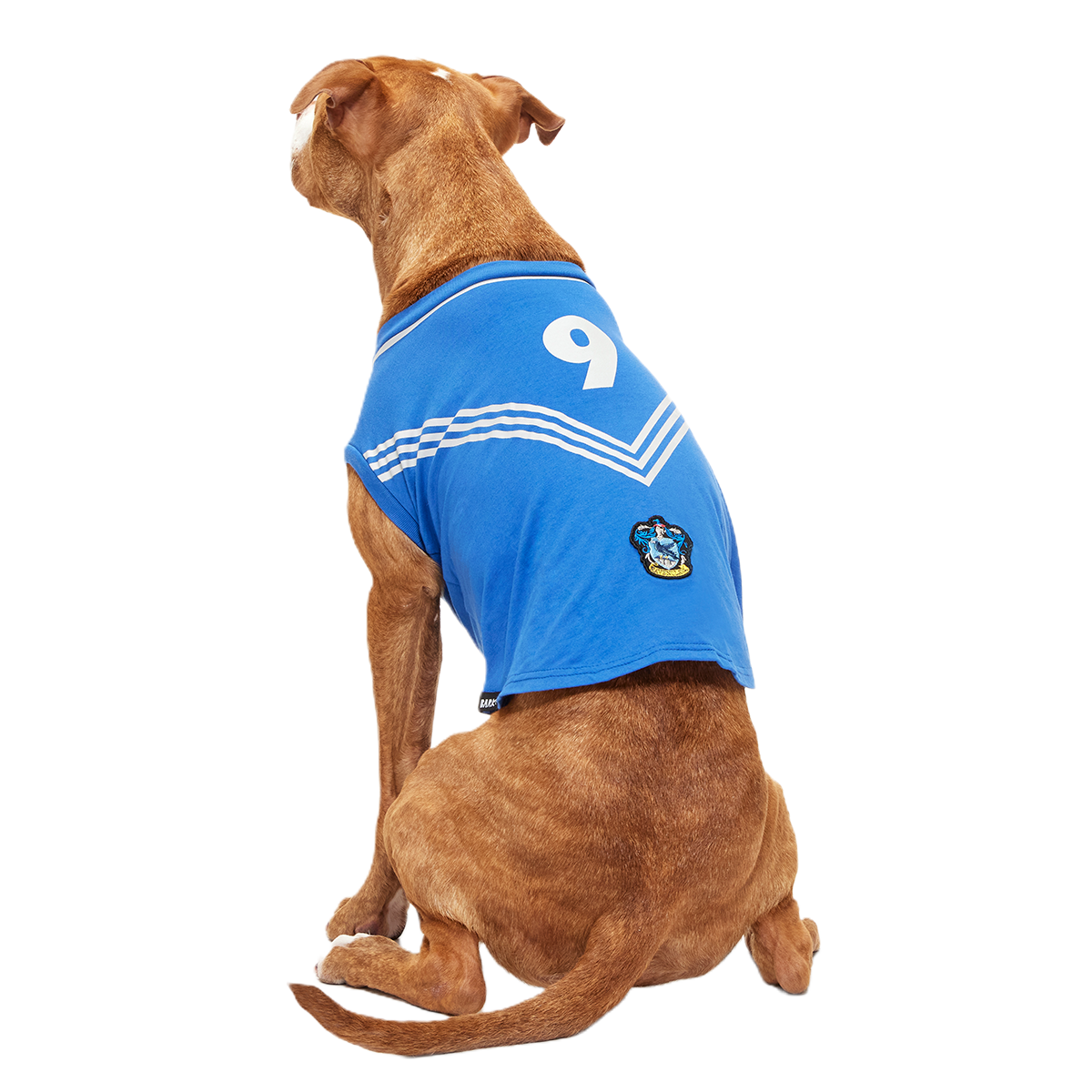 Quidditch™ Jersey#Style_Ravenclaw™