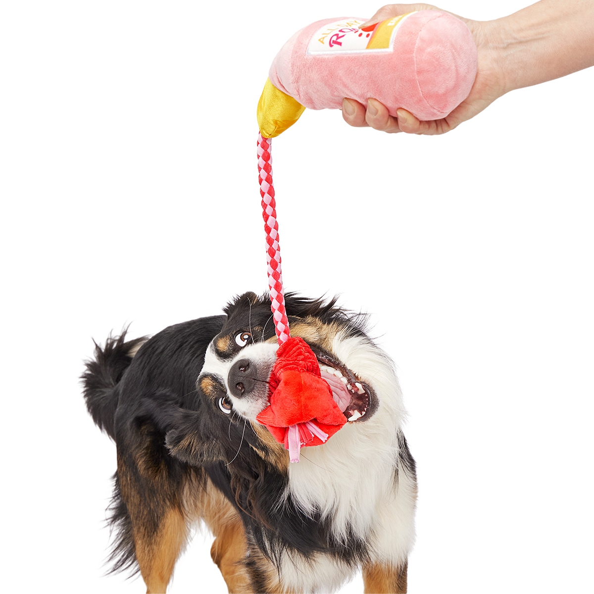 Red Cup Rosé Plush Tug Dog Toy