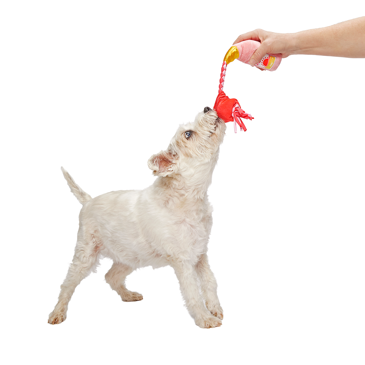 Red Cup Rosé Plush Tug Dog Toy