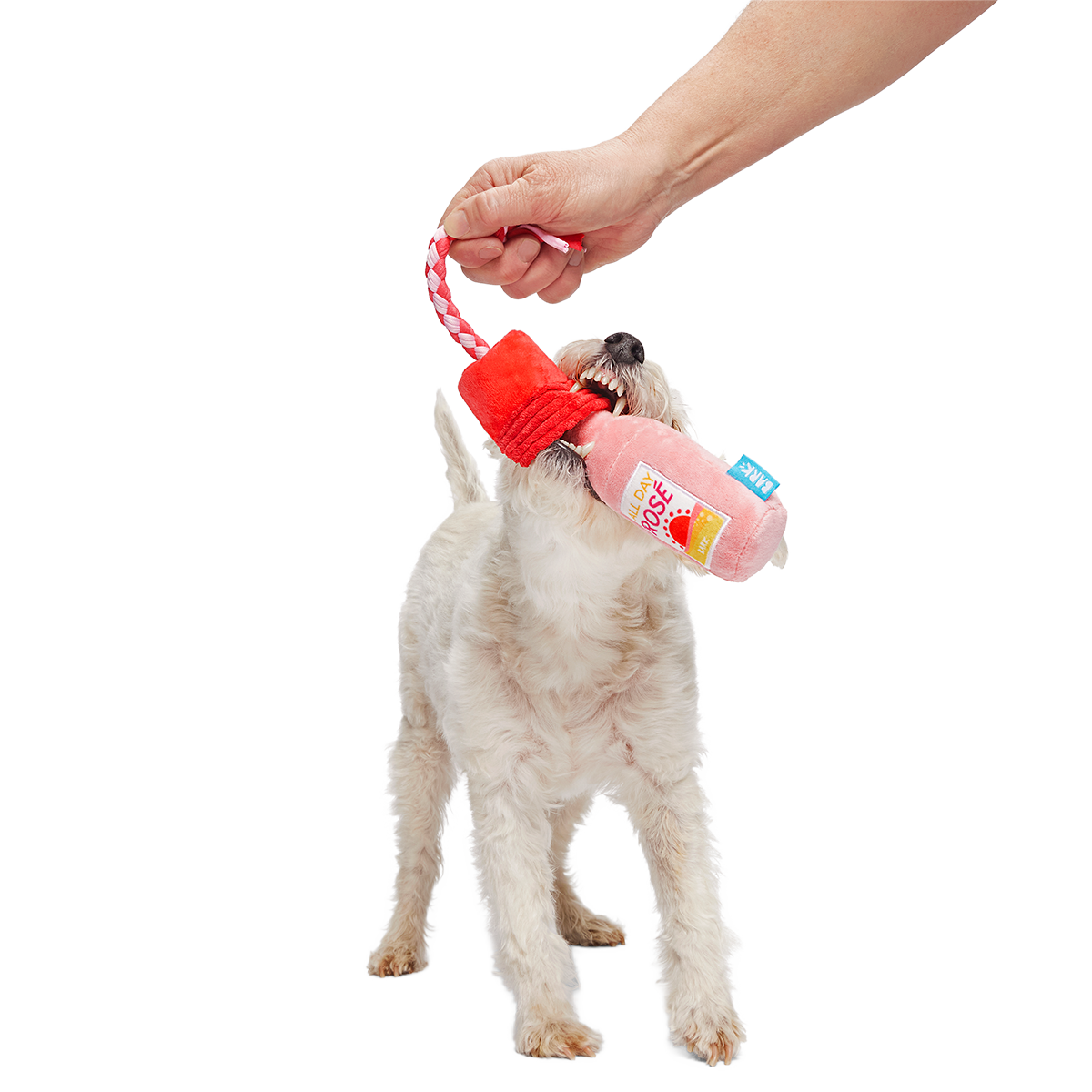 Red Cup Rosé Plush Tug Dog Toy