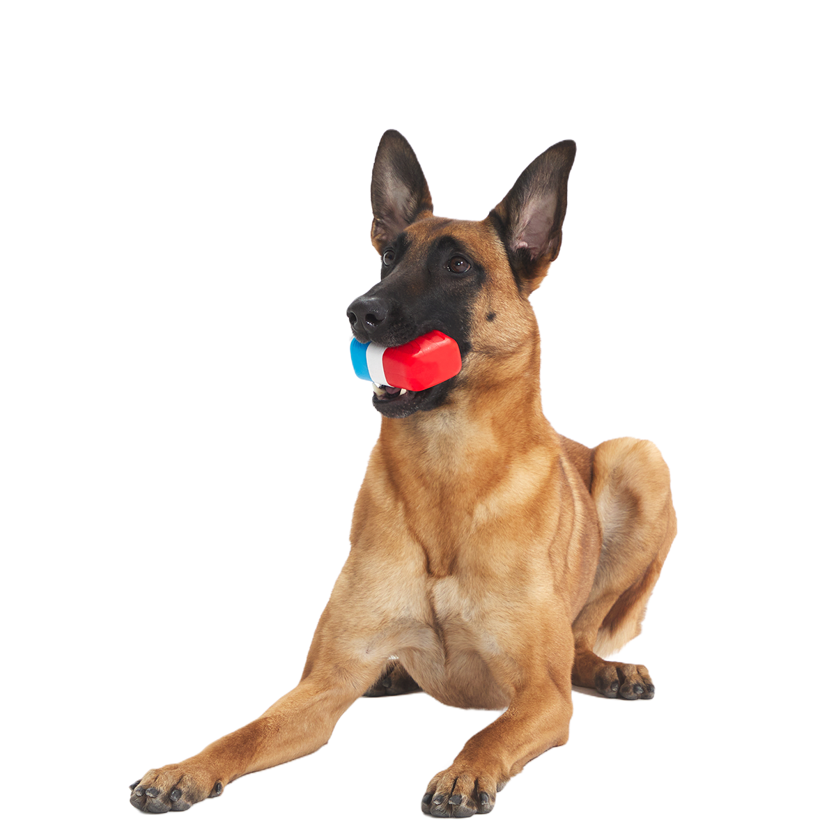 Red White + Chew Pupsicle Super Chewer Durable Gnaw Dog Toy