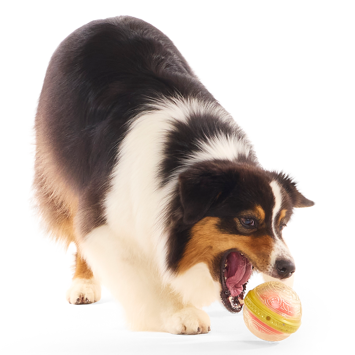Remembrall™ Super Chewer Durable Fetch Dog Toy