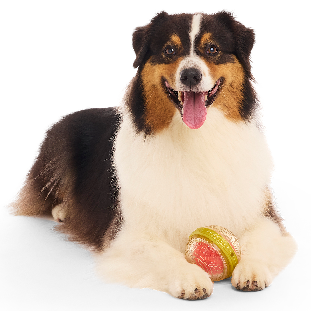 Remembrall™ Super Chewer Durable Fetch Dog Toy