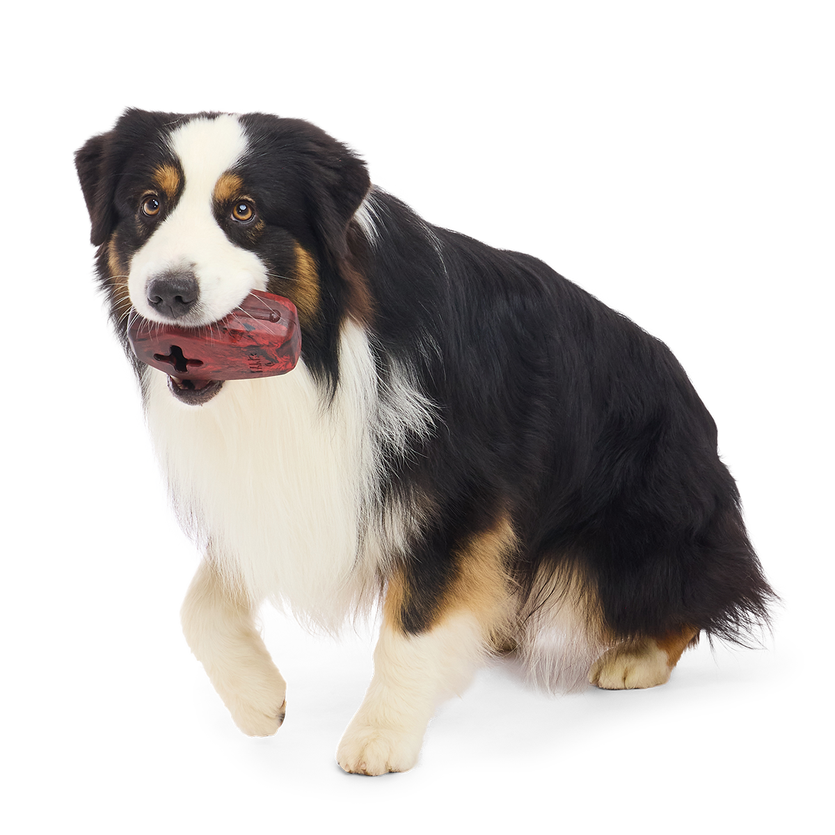 Rest In Treats Super Chewer Durable Enrichment Dog Toy