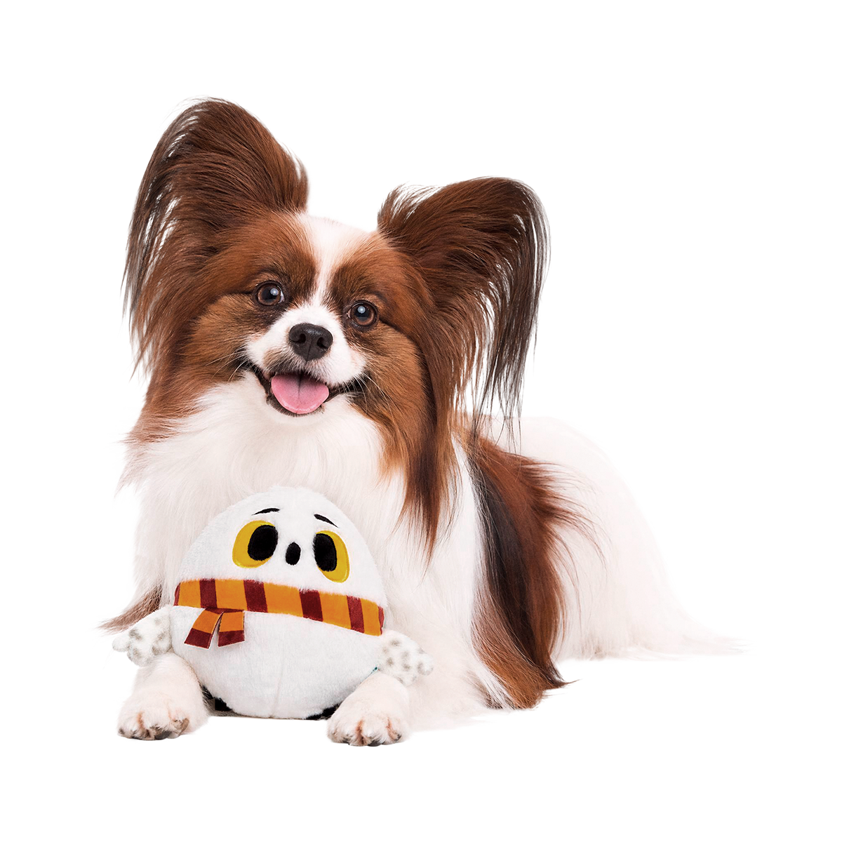 Hide and Squeak Hedwig™ Plush Tug Dog Toy