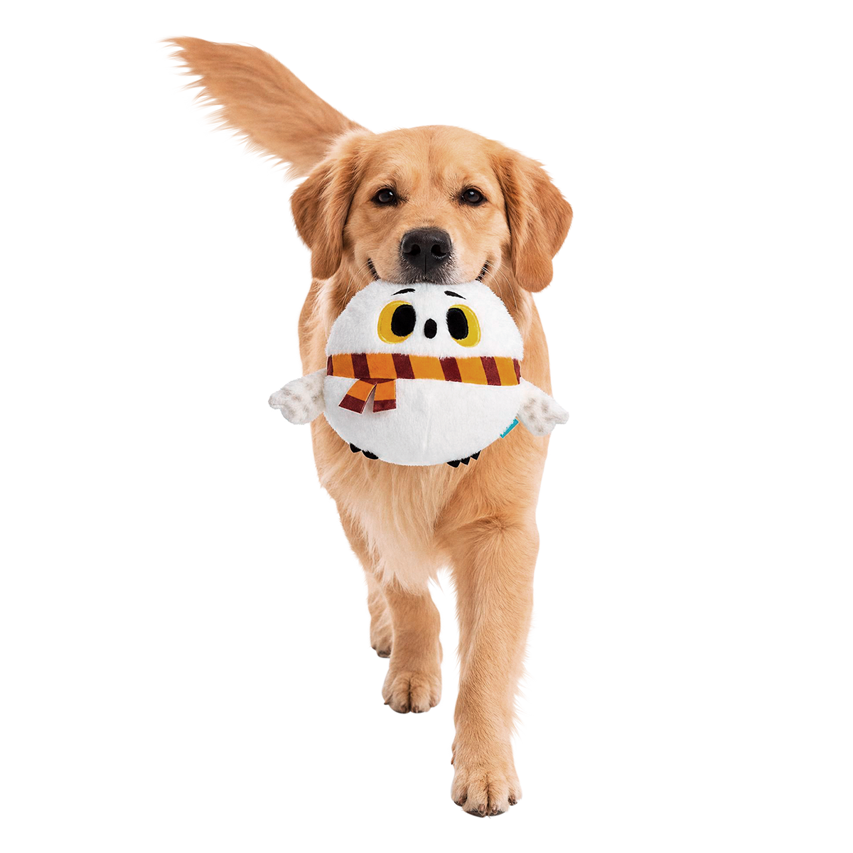 Hide and Squeak Hedwig™ Plush Tug Dog Toy