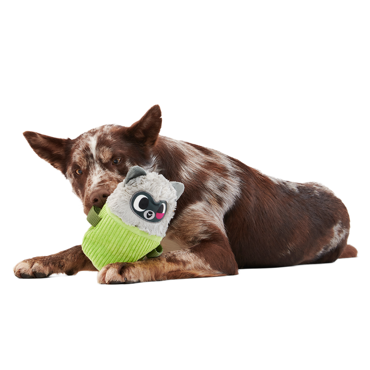 Rickie Racoon the Trash Tycoon Plush Enrichment + Multi-Part Dog Toy