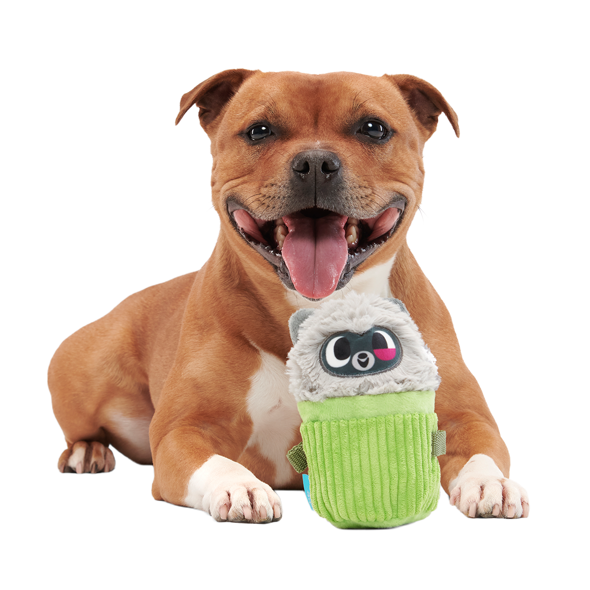 Rickie Racoon the Trash Tycoon Plush Enrichment + Multi-Part Dog Toy
