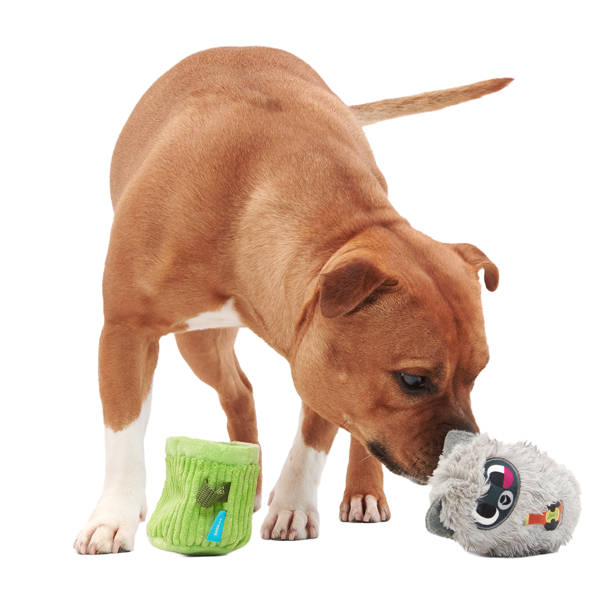 Rickie Racoon the Trash Tycoon Plush Enrichment + Multi-Part Dog Toy