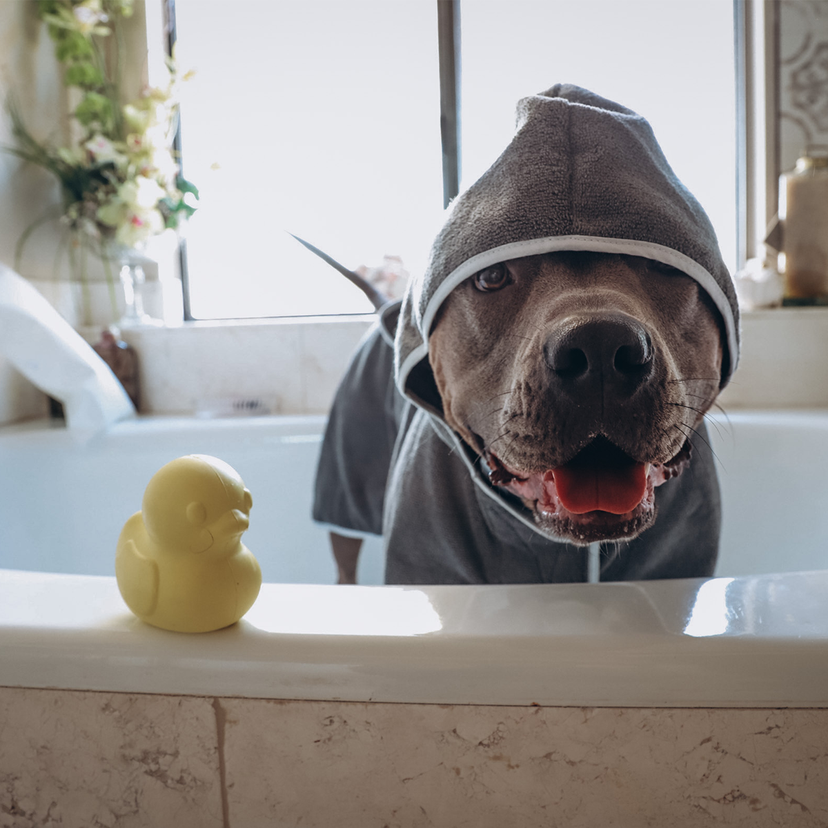 Robe & Duckie Bundle