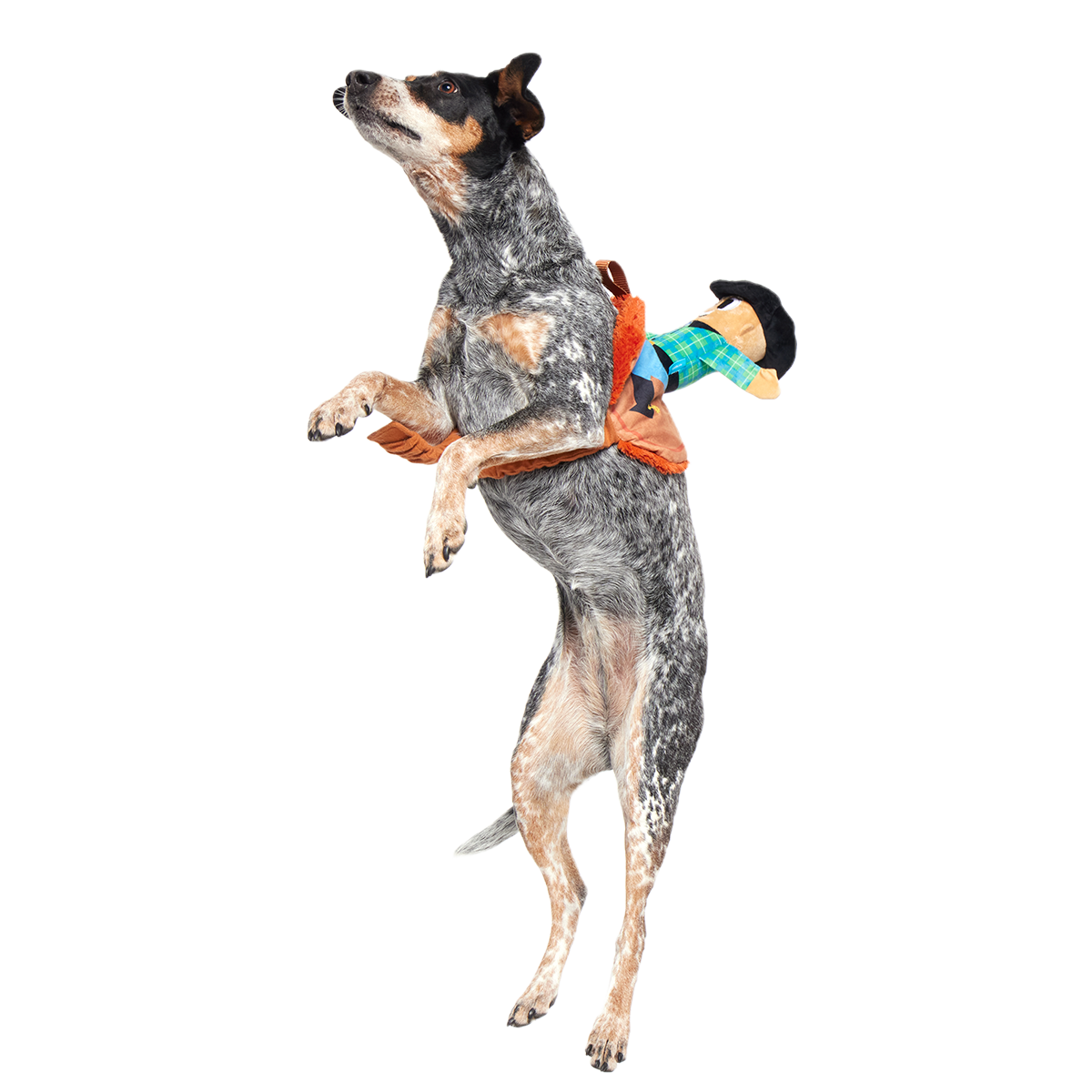Rodeo Ralph Plush Wearable Tug Dog Toy