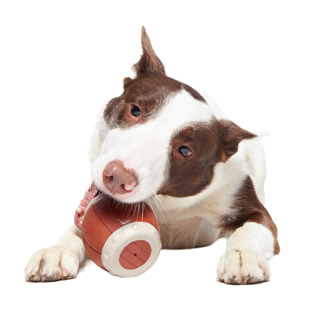 Roll Over A Barrel Super Chewer Durable Enrichment Dog Toy