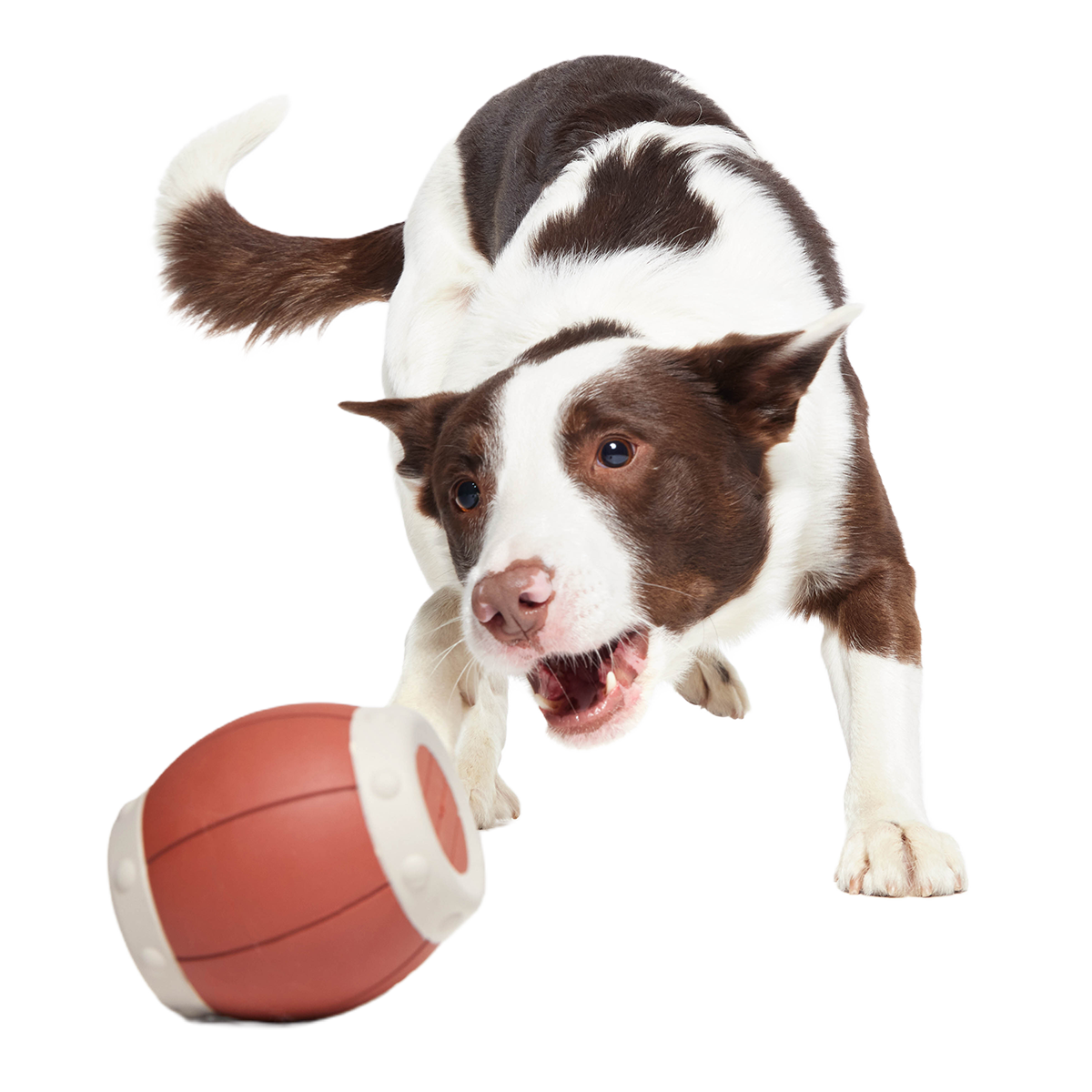 Roll Over A Barrel Super Chewer Durable Enrichment Dog Toy