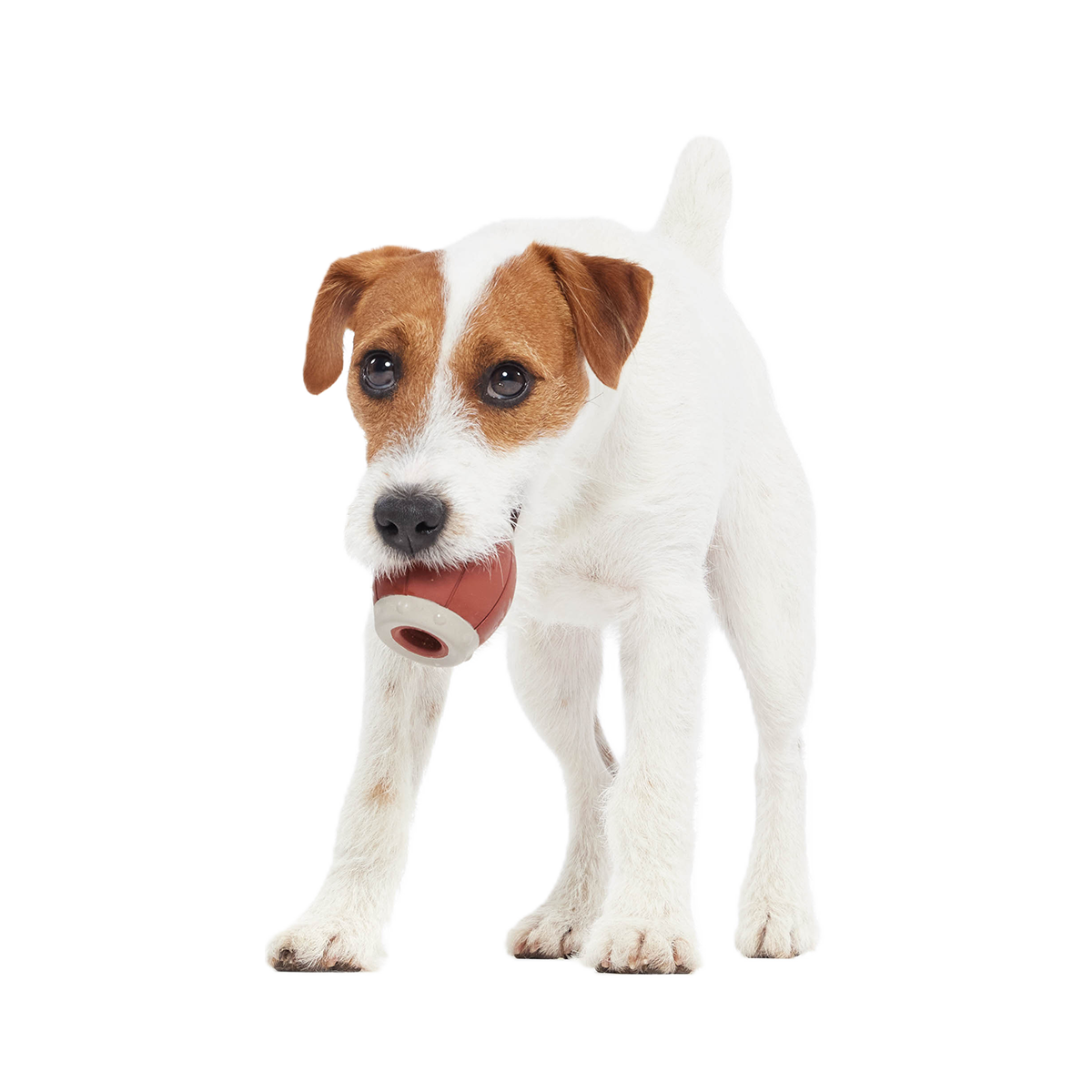 Roll Over A Barrel Super Chewer Durable Enrichment Dog Toy