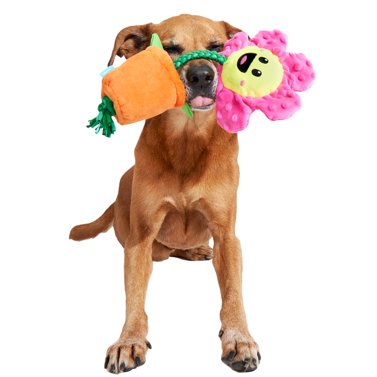 Rose the Daisy Plush Tug Dog Toy Rose the Daisy Plush Tug Dog Toy