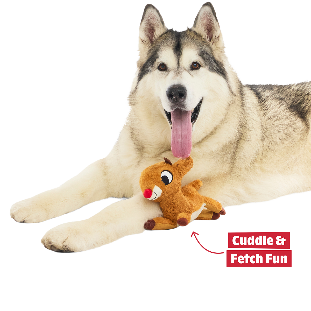 Rudolph® Holiday Gift BarkBox#Assortment_No Extra Toy #Dog Size_M/L
