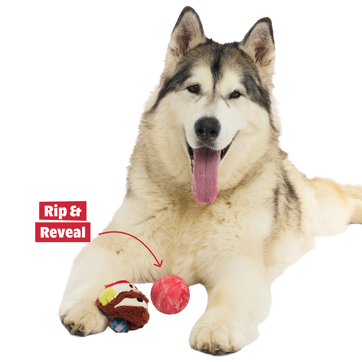 Rudolph® Holiday Super Chewer Gift Box#Assortment_No Extra Toy #Dog Size_M