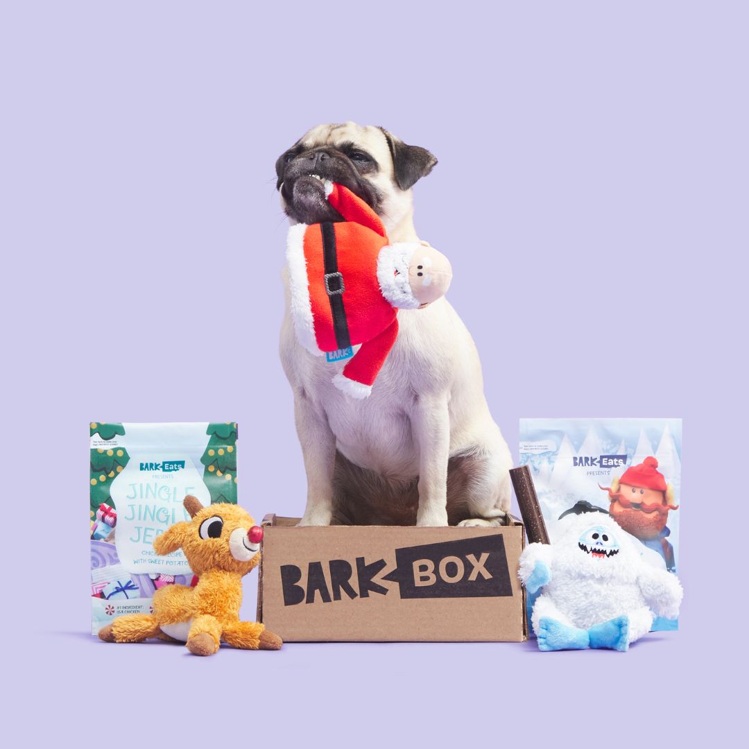BarkBox 12 Month Subscription