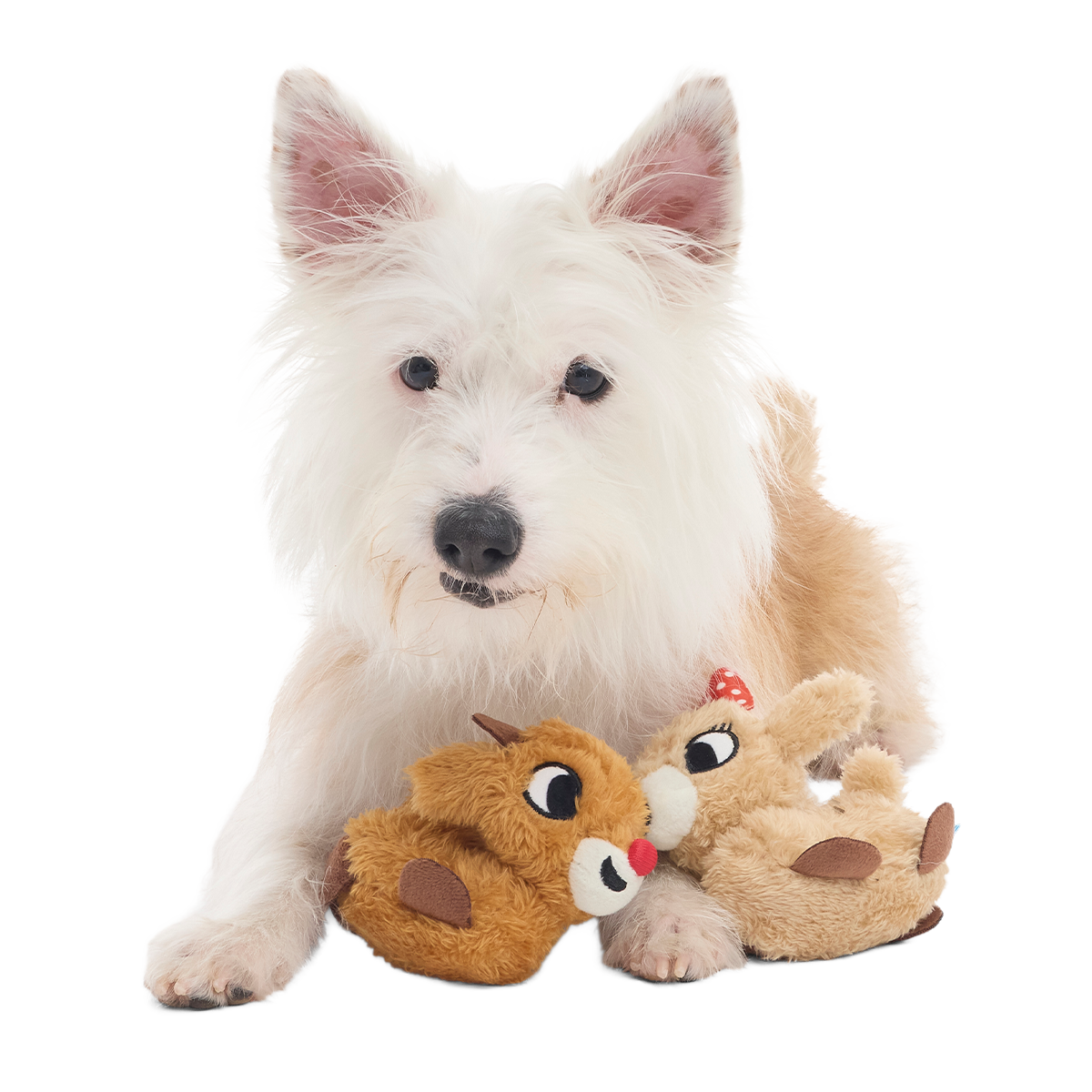 Rudolph® & Clarice™ Plush Multi-Part Dog Toy
