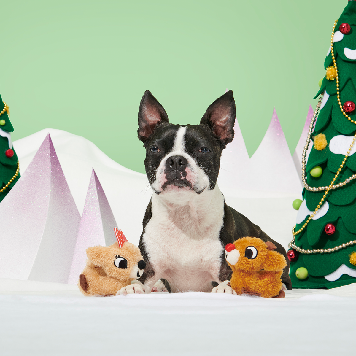 Rudolph® & Clarice™ Plush Multi-Part Dog Toy