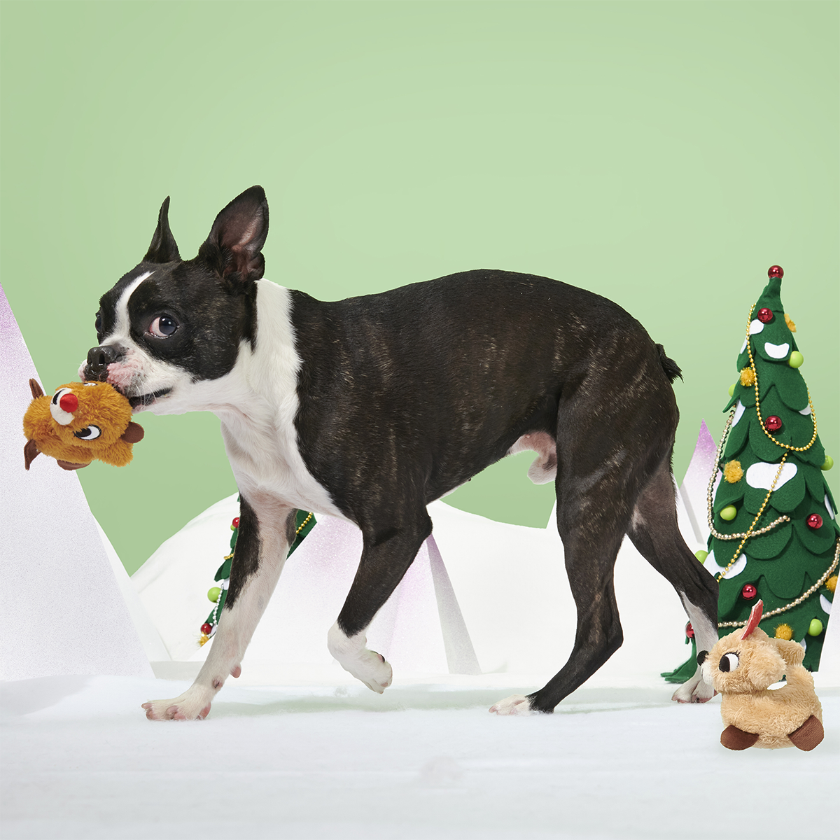 Rudolph® & Clarice™ Plush Multi-Part Dog Toy