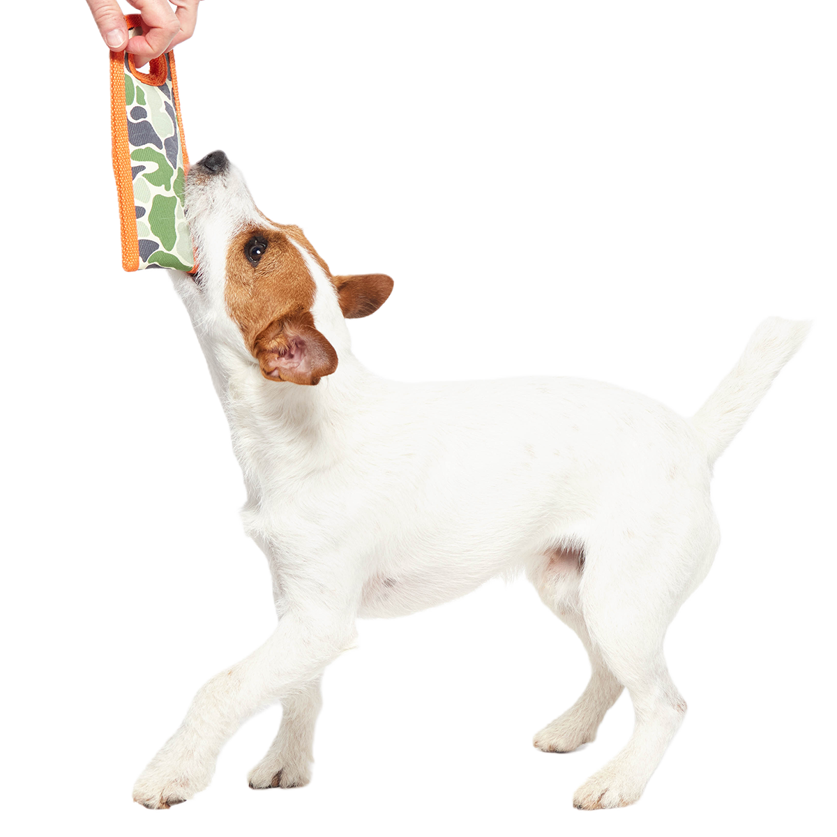 Ruffhouse Camo Tug Super Chewer Durable Dog Toy