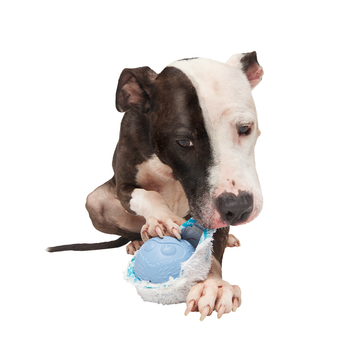 Ruff n' Tumble Bumble™ Super Chewer Durable 2-in-1 + Fetch Dog Toy