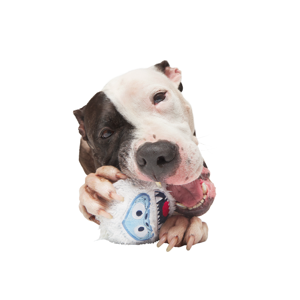 Ruff n' Tumble Bumble™ Super Chewer Durable 2-in-1 + Fetch Dog Toy