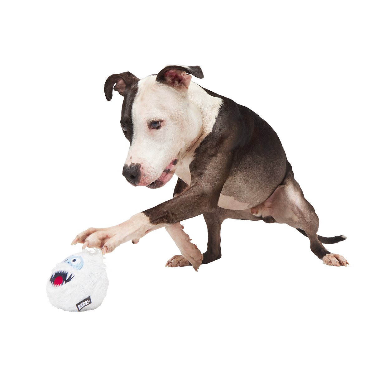 Ruff n' Tumble Bumble™ Super Chewer Durable 2-in-1 + Fetch Dog Toy