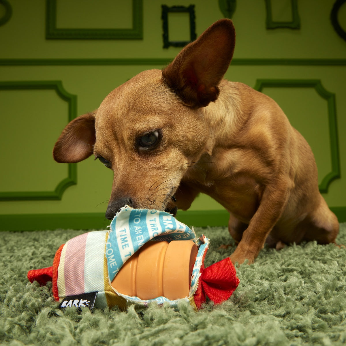 Throw-it-Alls Super Chewer Durable 2-in-1 + Enrichment Dog Toy