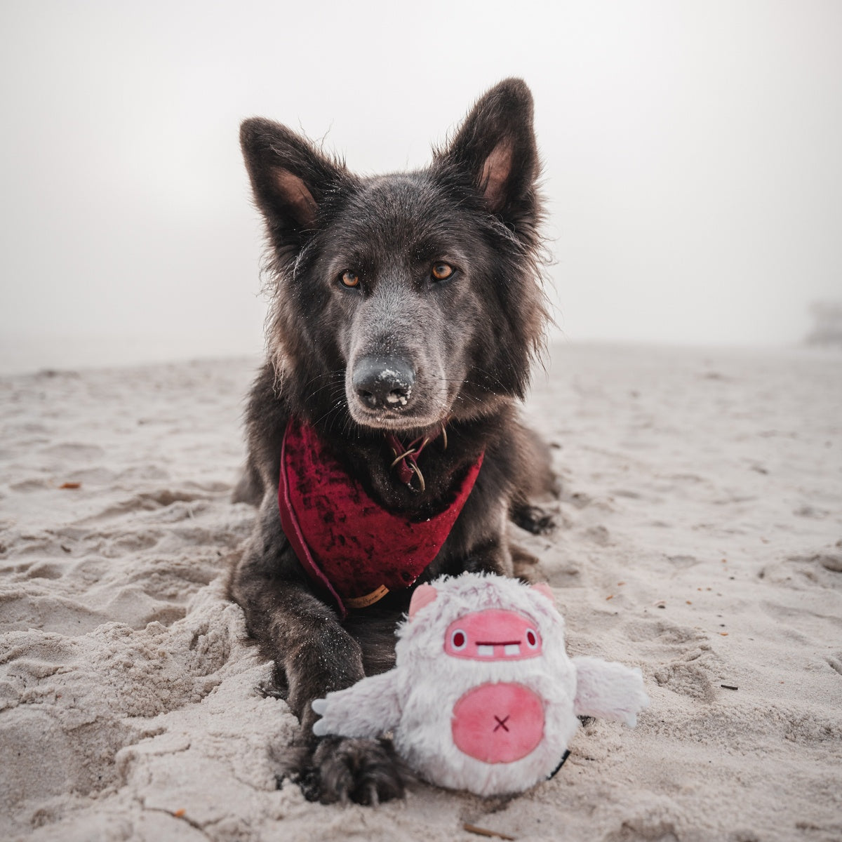 Snuglor Durable Super Chewer 2-in-1 Rip and Reveal + Enrichment Dog Toy